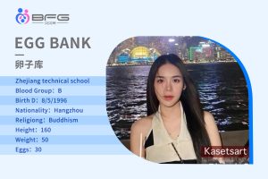 华人精英女孩