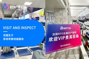 吉国试管代孕生子参观考察全流程地接服务