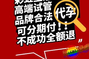 吉尔吉斯斯坦合法代孕的监管机制与改进建议