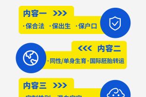 吉尔吉斯斯坦合法代孕的法律风险与防范措施