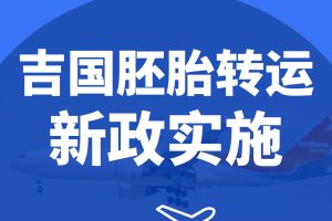 BFG吉国助孕|马上了解转运的最新政策