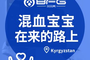 BFG吉国|迎来超可爱的天使混血宝宝