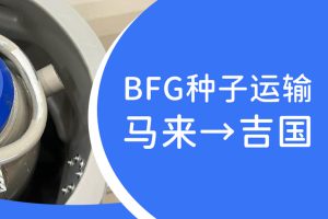 BFG助孕|种子国际运输: 马来-吉国的关键步骤