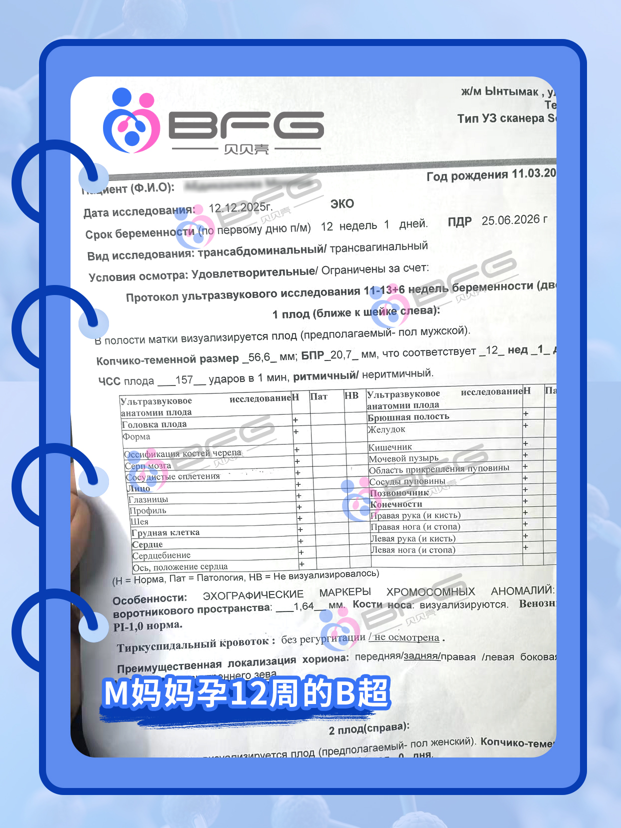 BFG助孕|4个❤妈妈好孕进行时……