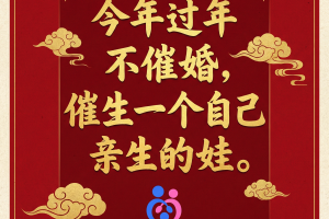 2026年吉尔吉斯斯坦单身人士代孕政策：法律演变、医疗标准与地缘政治风险综合评估报告