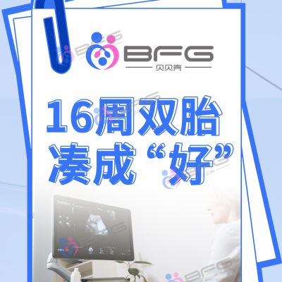 BFG助孕|“女子”事成双~龙凤胎宝宝16周啦~