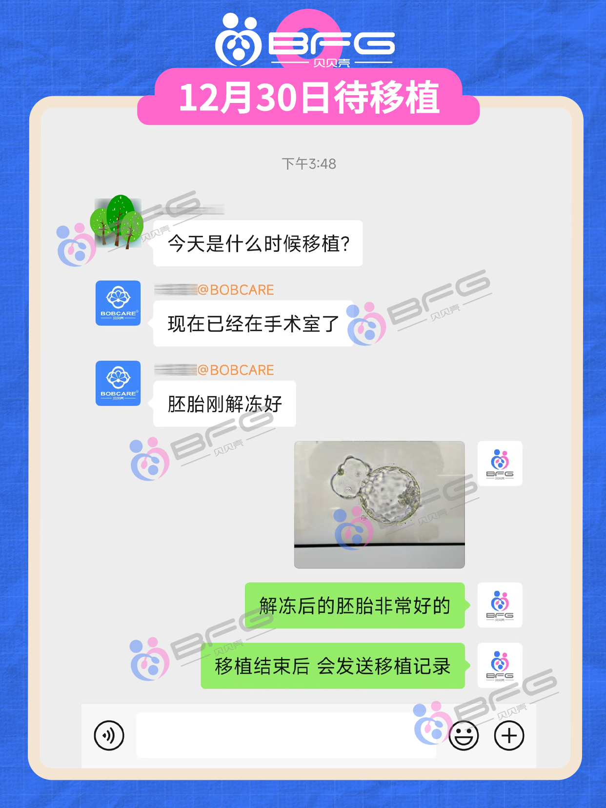 快看！BFG吉国的抱娃速度