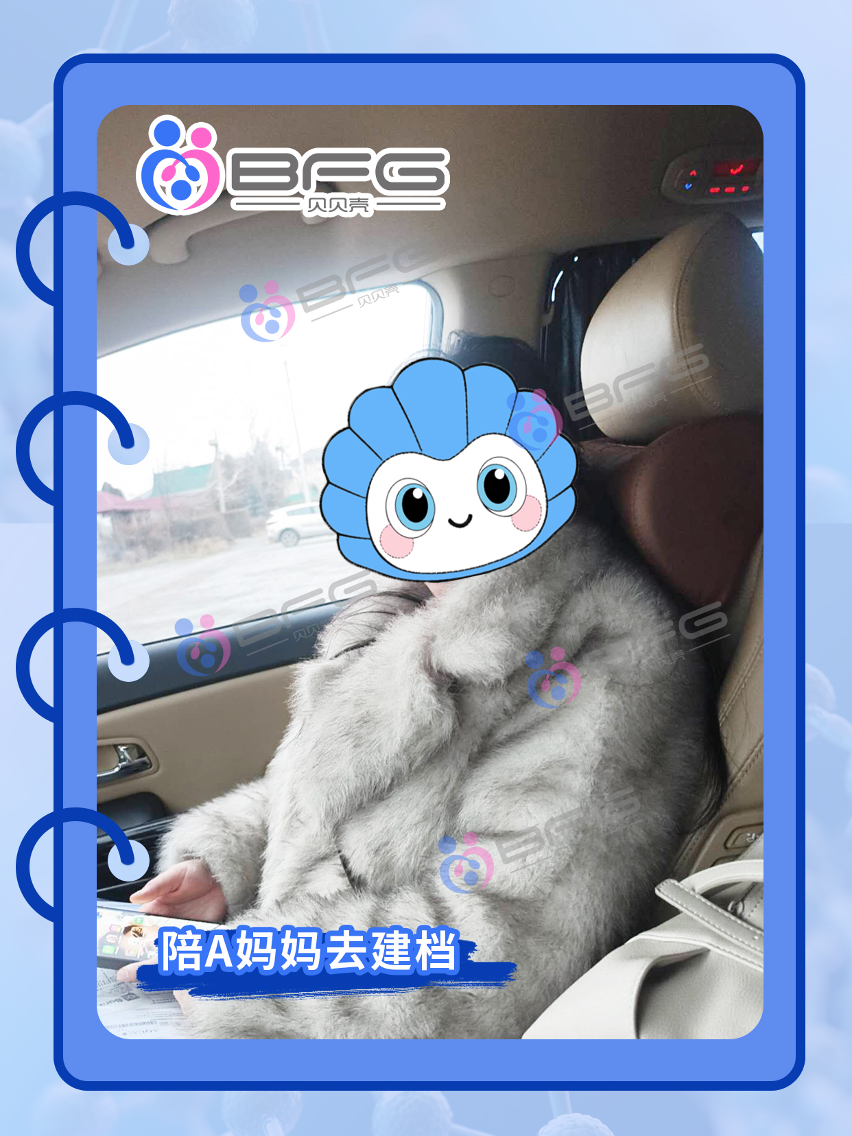 BFG助孕|❤妈妈顺利建档，期待7月马宝宝