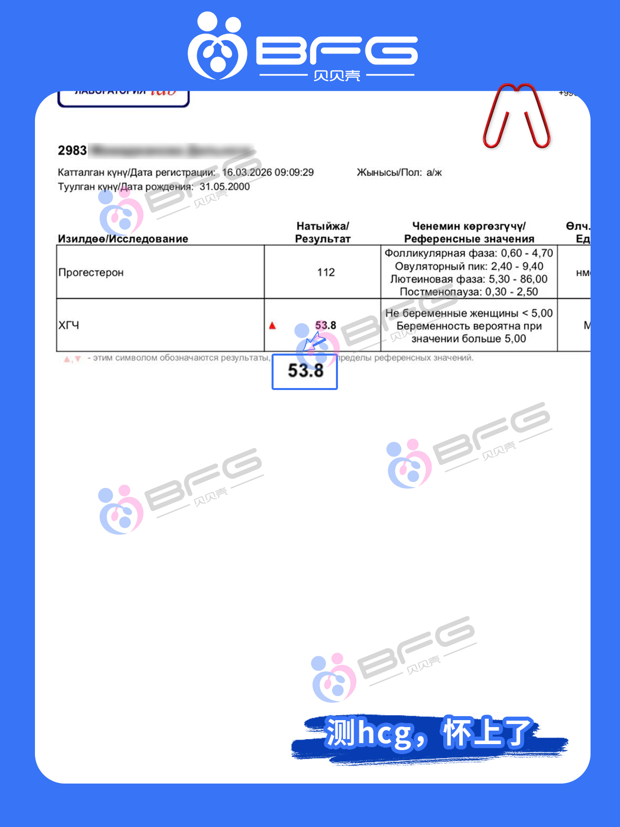 BFG助孕|HCG捷报传，小生命已安家