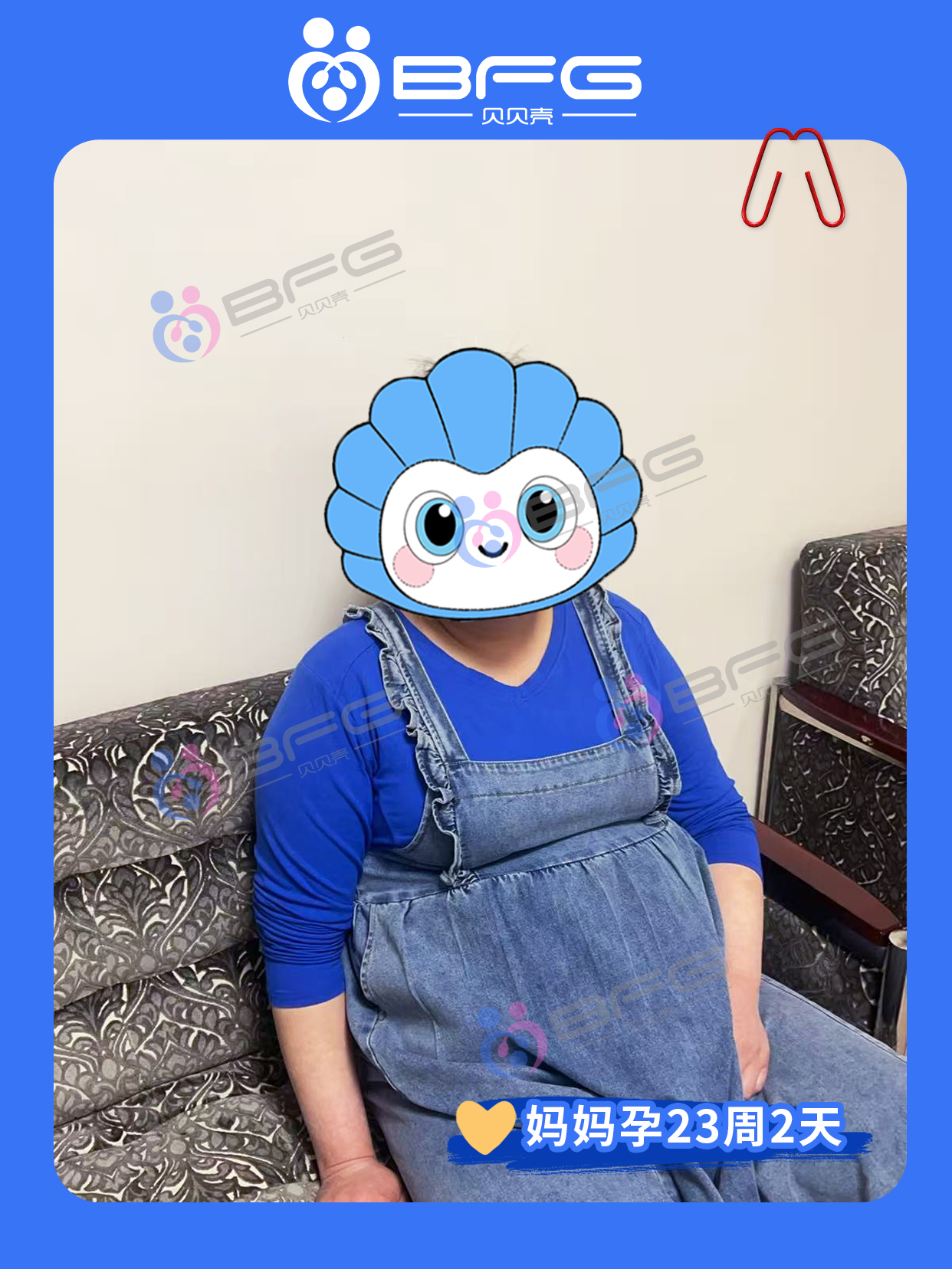 BFG助孕|3位❤妈妈，孕期三部曲