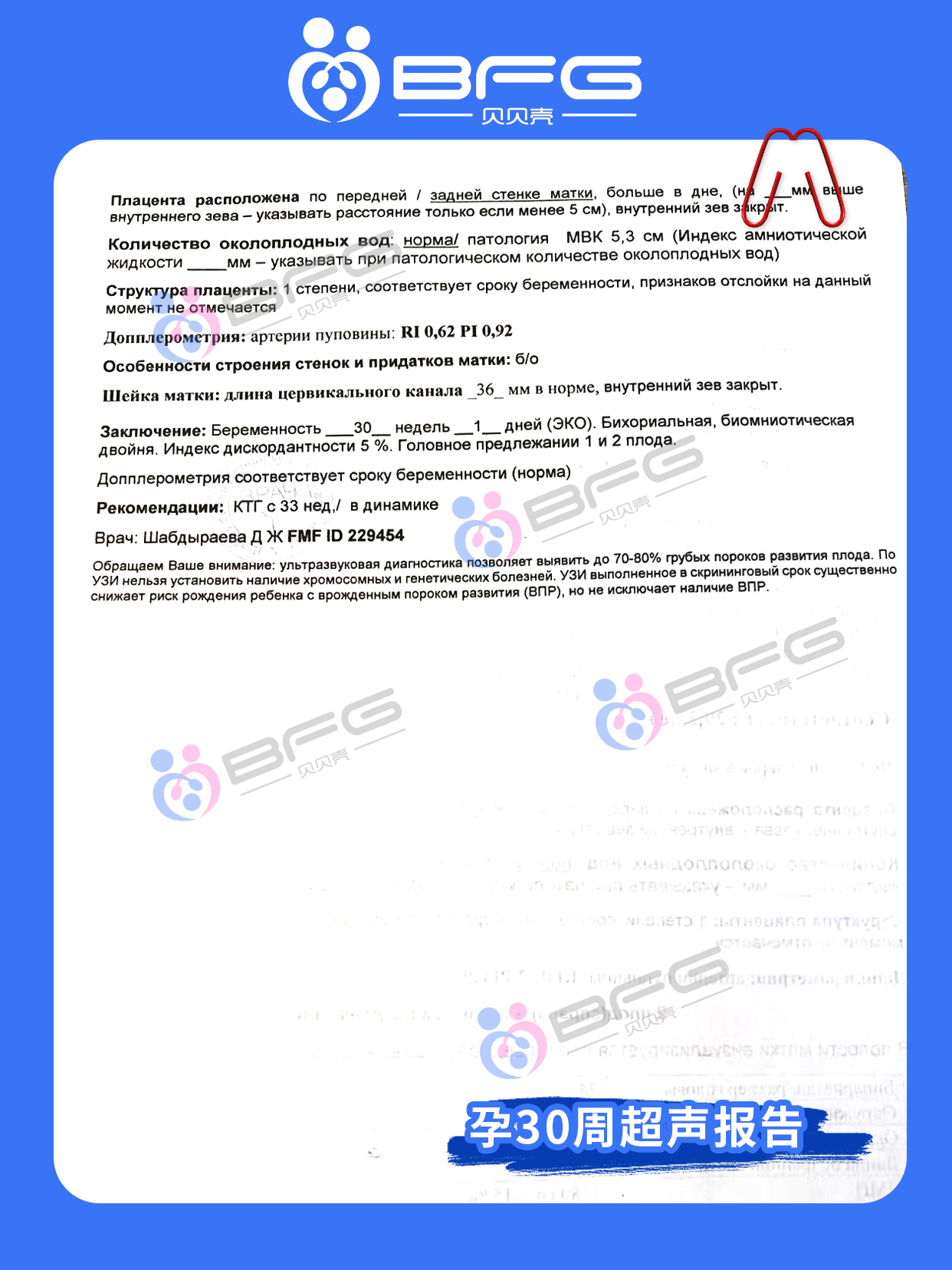 BFG助孕|孕30周，“家庭”即将圆满