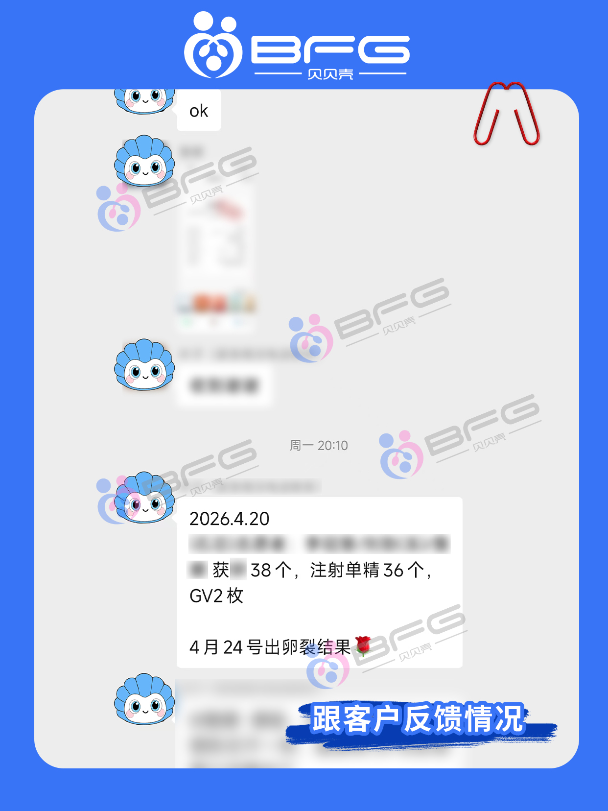 BFG助孕|可爱系妹妹助孕进行时
