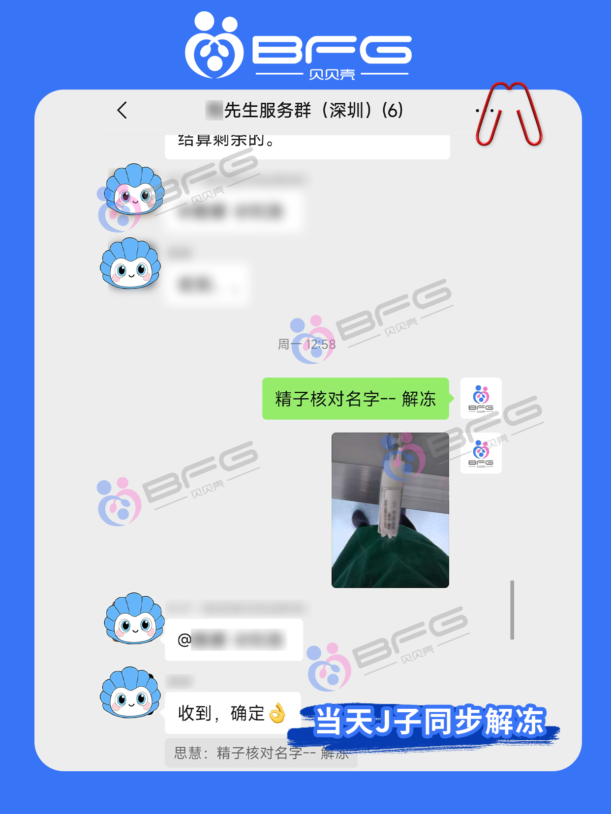 BFG助孕|可爱系妹妹助孕进行时