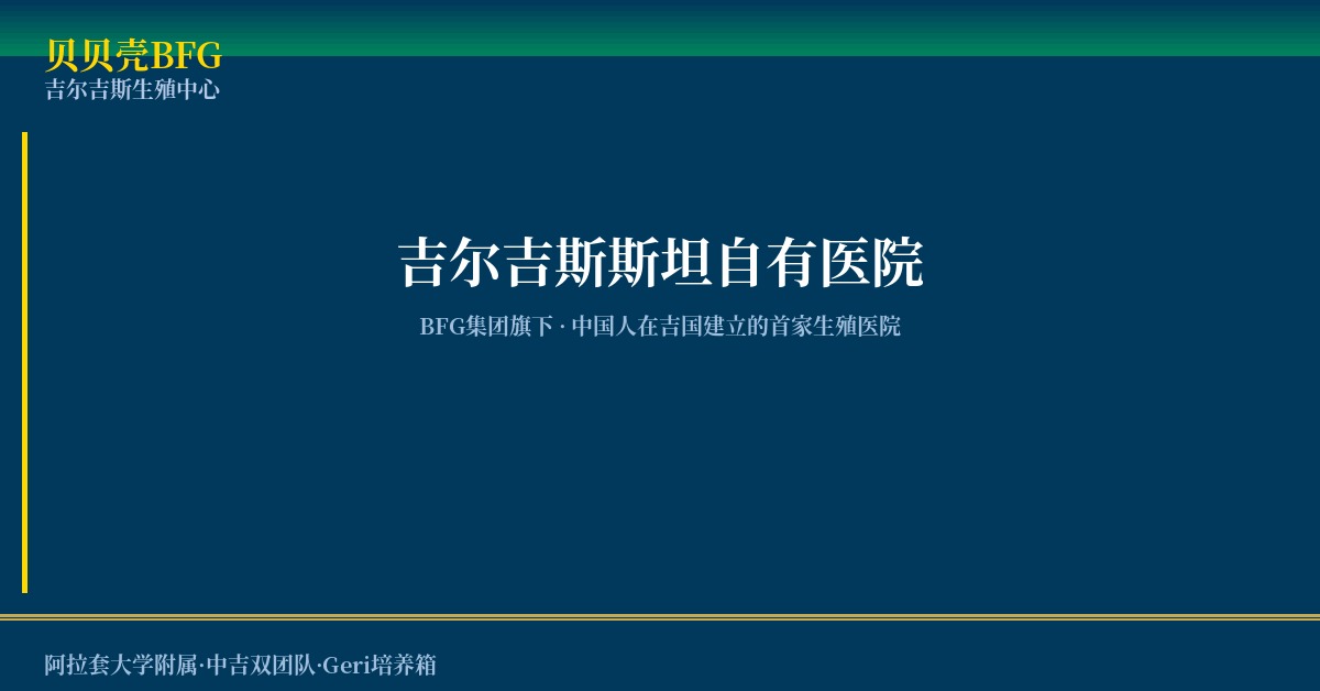 吉尔吉斯斯坦代孕全流程实务指南:法律、周期与SOP详解插图 贝贝壳BFG吉尔吉斯生殖中心自有实体专科医院服务架构